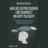 Discount Waschbär Was bei Depressionen und Burnout im Kopf passiert.