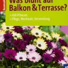 New Waschbär Was blüht auf Balkon & Terrasse? 650 Pflanzen, Pflege, Merkmale, Verwendung.