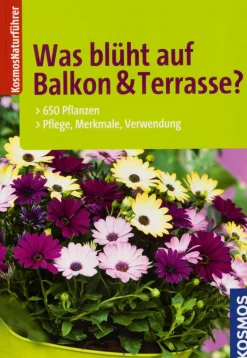 New Waschbär Was blüht auf Balkon & Terrasse? 650 Pflanzen, Pflege, Merkmale, Verwendung.
