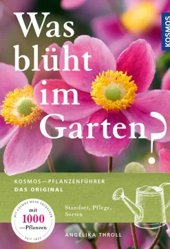 Clearance Waschbär Was blüht im Garten?