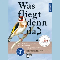 Waschbär Was fliegt denn da?