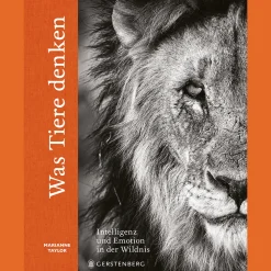 Waschbär Was Tiere denken. Intelligenz und Emotion in der Wildnis.