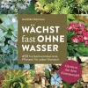 Best Waschbär Wächst fast ohne Wasser. Gärtnern mit dem Klimawandel.