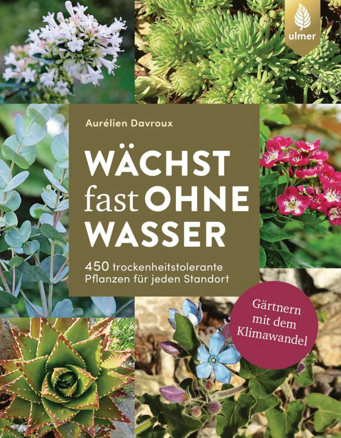 Best Waschbär Wächst fast ohne Wasser. Gärtnern mit dem Klimawandel.