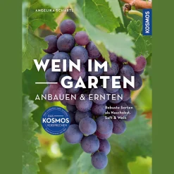 Online Waschbär Wein im Garten anbauen & ernten. Robuste Sorten als Naschobst, Saft & Wein.
