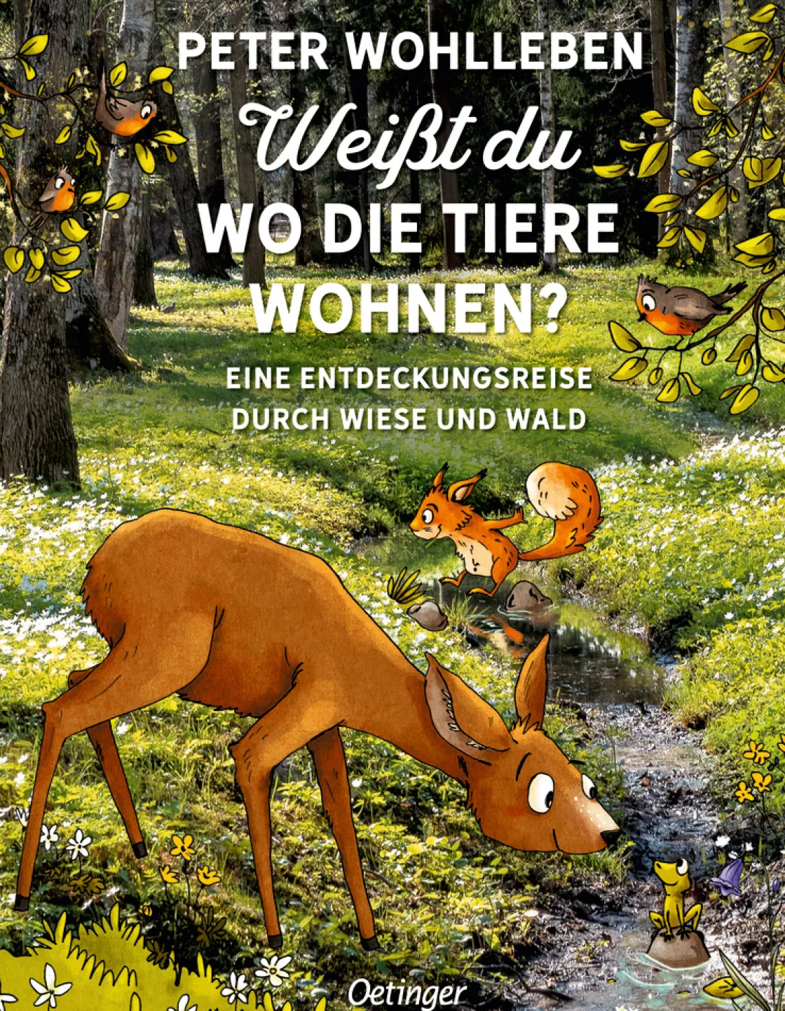 Sale Waschbär Weißt du, wo die Tiere wohnen? Eine Entdeckungsreise durch Wiese und Wald.