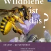 Best Waschbär Welche Wildbiene ist das? Einfach erkennen und bestimmen.