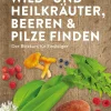 Waschbär Wild- und Heilkräuter, Beeren und Pilze finden. Der Blitzkurs für Einsteiger.