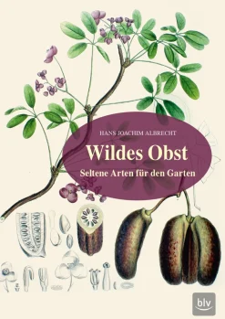 New Waschbär Wildes Obst. Seltene Arten für den Garten.