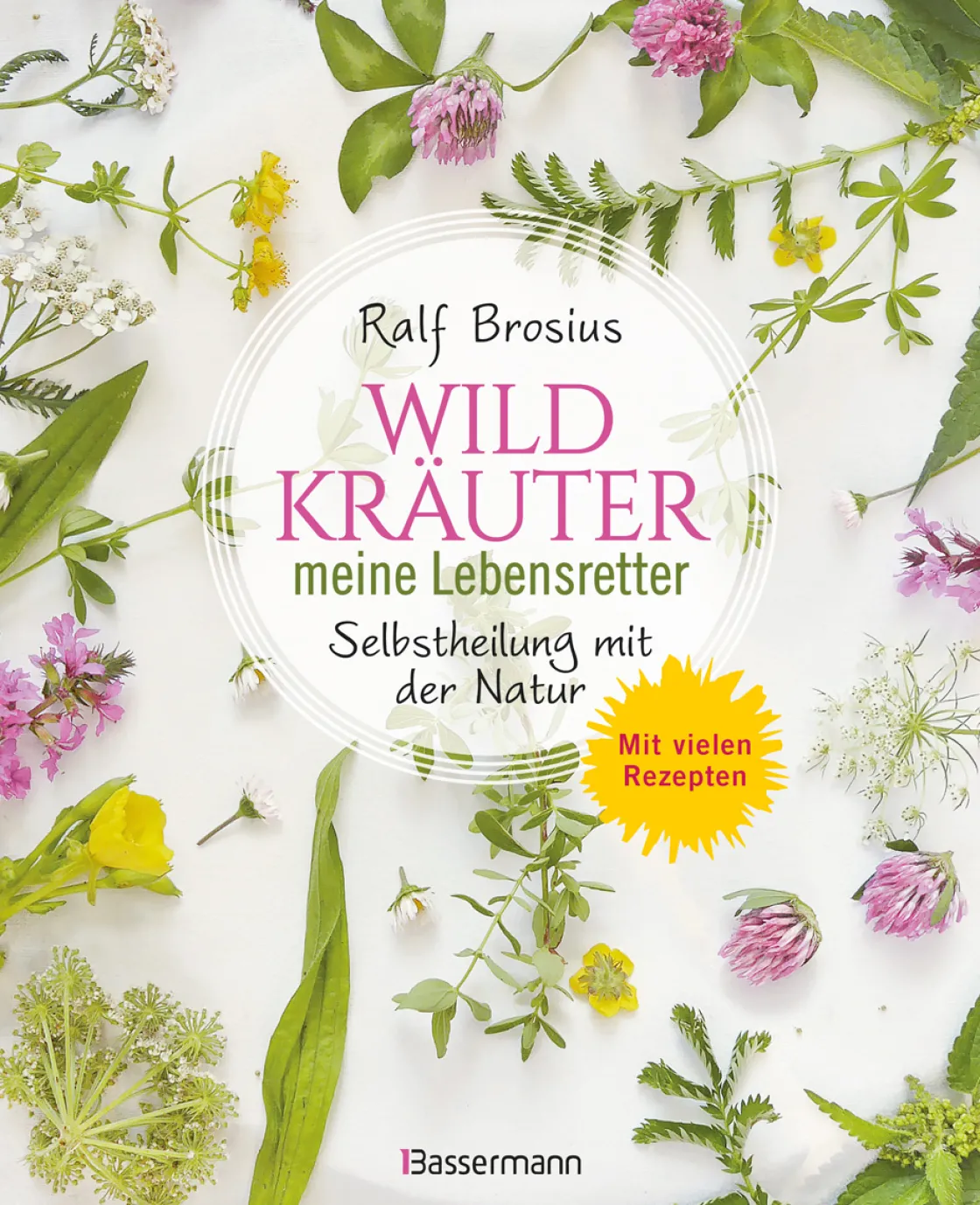 New Waschbär Wildkräuter - meine Lebensretter. Selbstheilung mit der Natur.