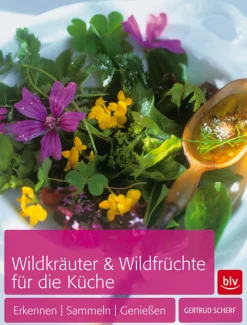Online Waschbär Wildkräuter & Wildfrüchte für die Küche. Erkennen - Sammeln - Genießen.