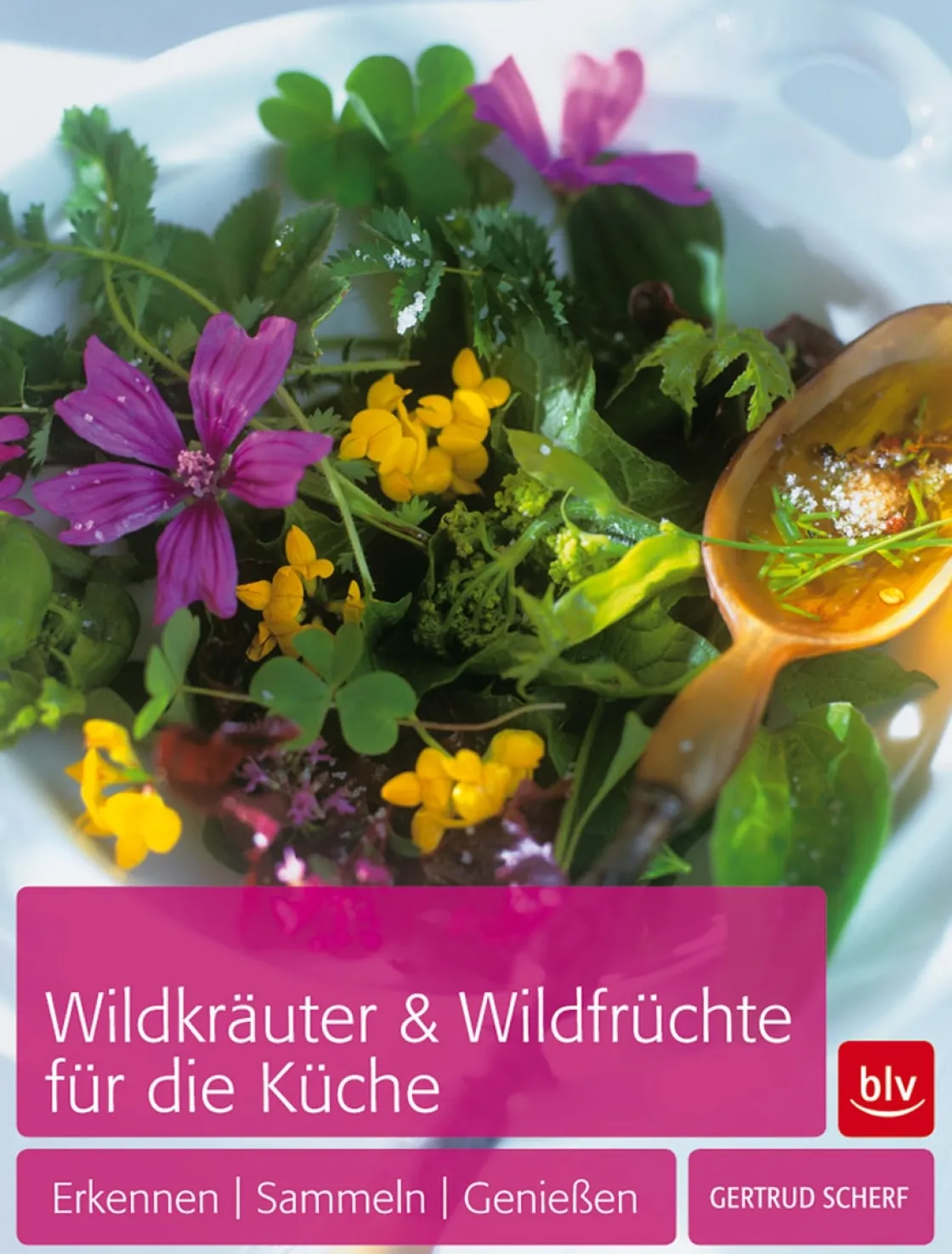 Online Waschbär Wildkräuter & Wildfrüchte für die Küche. Erkennen - Sammeln - Genießen.