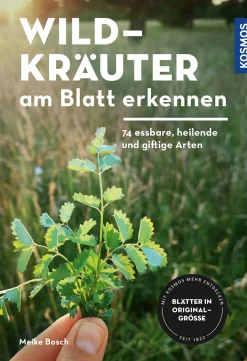 Outlet Waschbär Wildkräuter am Blatt erkennen. 74 essbare, heilende und giftige Arten.