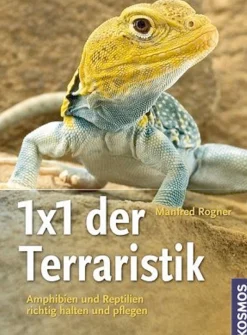 Waschbär 1x1 der Terraristik.