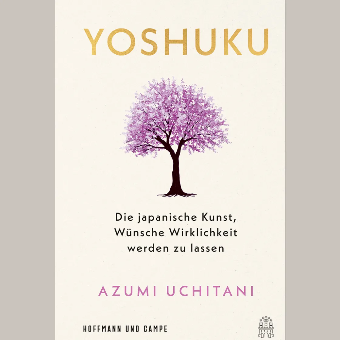 Clearance Waschbär Yoshuku. Die japanische Kunst, Wünsche Wirklichkeit werden zu lassen.