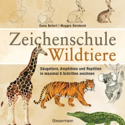 Waschbär Zeichenschule Wildtiere.