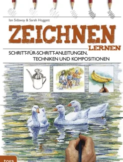 Sale Waschbär Zeichnen lernen.